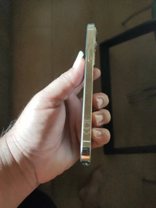 iPhone 13 Pro Max Oro/Rosa