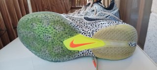 Nike Air Zoom G.T. Cut 3 Olympic Safari