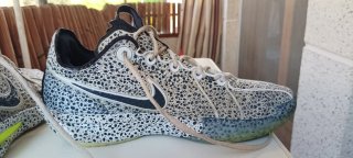 Nike Air Zoom G.T. Cut 3 Olympic Safari