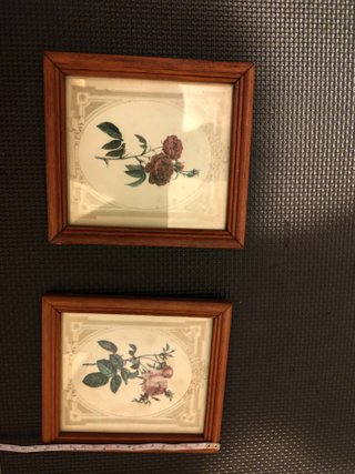 Set 2 Cuadros Vintage Flores
