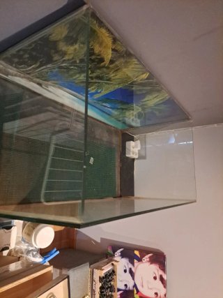 Terrario de cristal con fondo tropical
