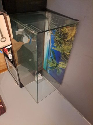 Terrario de cristal con fondo tropical
