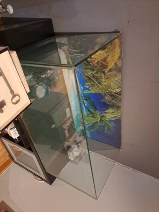 Terrario de cristal con fondo tropical