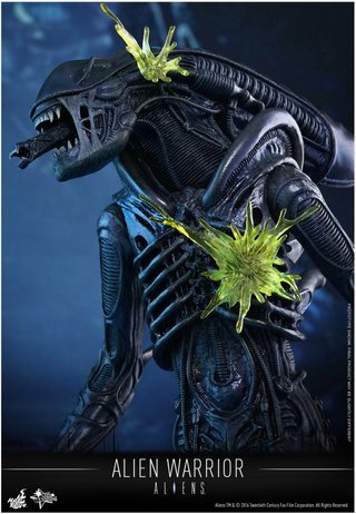 Hot Toys Alien Warrior 1/6