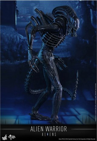 Hot Toys Alien Warrior 1/6