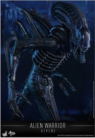 Hot Toys Alien Warrior 1/6
