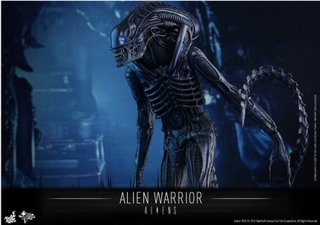 Hot Toys Alien Warrior 1/6