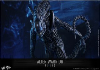 Hot Toys Alien Warrior 1/6