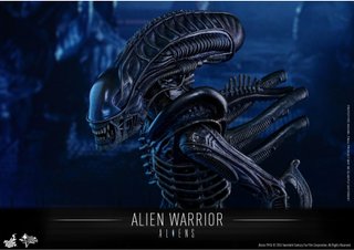 Hot Toys Alien Warrior 1/6