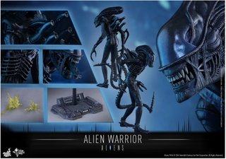 Hot Toys Alien Warrior 1/6