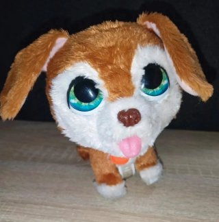 Cagnolino peluche con occhi grandi