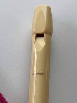 Flauta Honner con funda rosa floral