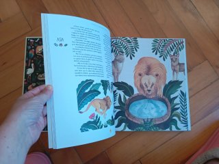 Historias de animales del mundo