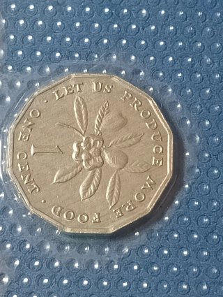 Monete Giamaica 1 Dollaro 100 Cent