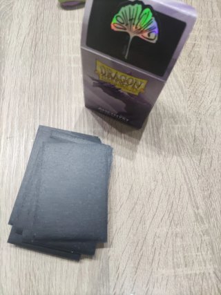 Mazo Pokémon Miraidon ex