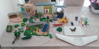 Lote Playmobil
