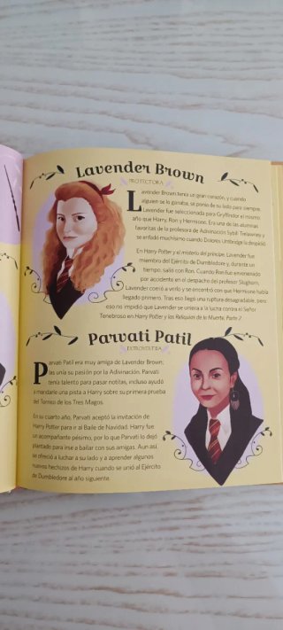 CUENTOS DE BRUJAS HARRY POTTER