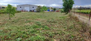 Desbrozado de parcelas y terrenos