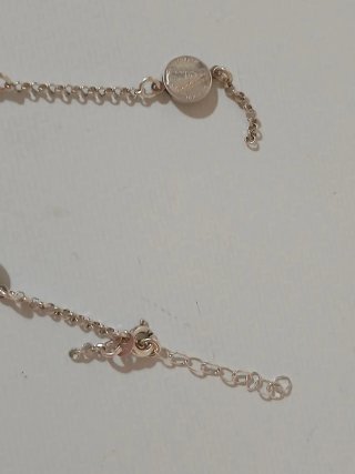 Plata de Ley