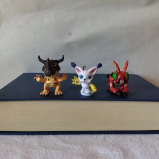 Set completo 9 Digimon