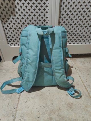 Mochila con carro 42 cm.