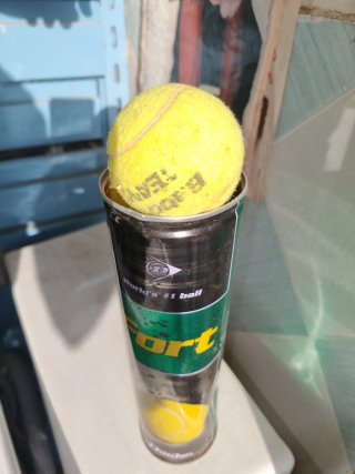 Palline da tennis Dunlop Fort