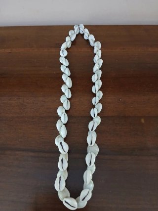 Collana Ciprea Vintage Conchiglie