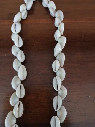 Collana Ciprea Vintage Conchiglie