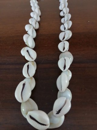 Collana Ciprea Vintage Conchiglie