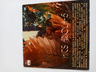 Discos vinilo antiguo colección varios cantantes