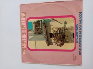 Discos vinilo antiguo colección varios cantantes