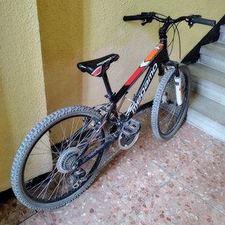 Bicicleta Megamo 24