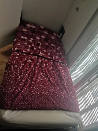 Cama abatible (sin colchón)