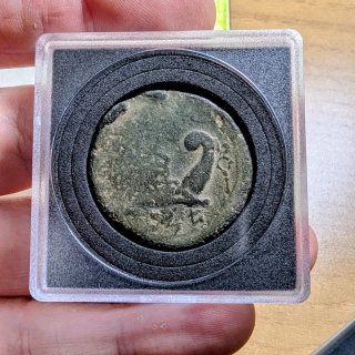 Moneda íbera Arse 130-80 a.C.