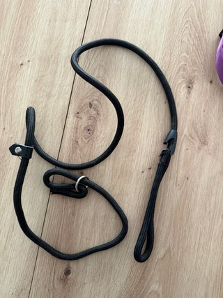 Kit de adiestramiento canino.