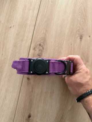Kit de adiestramiento canino.