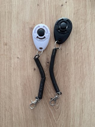 Kit de adiestramiento canino.
