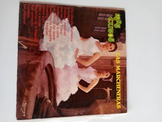 Discos vinilo antiguos barrio cantantes colección