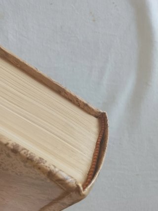Diccionario Real Academia Española