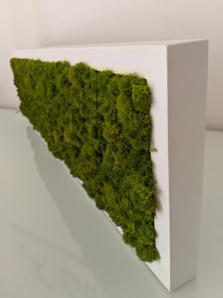 Quadro di muschio stabilizzato