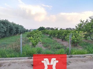 Terreno en venta en Moncada