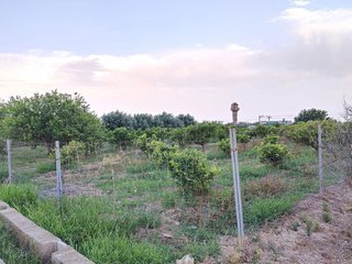 Terreno en venta en Moncada