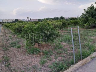 Terreno en venta en Moncada