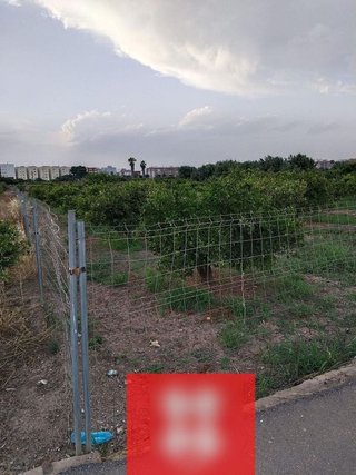 Terreno en venta en Moncada