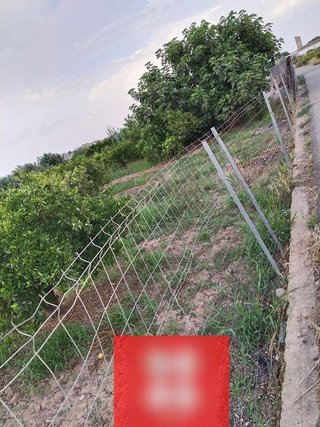 Terreno en venta en Moncada