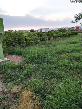 Terreno en venta en Moncada
