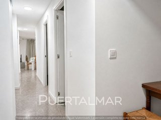 Piso en alquiler en Carolinas Bajas en Alicante