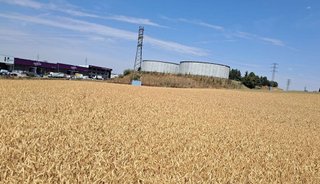 Terreno en venta en Arcas Reales - Pinar del Jalón en Valladolid