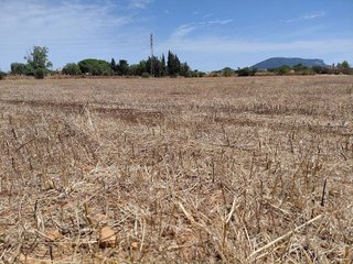 Terreno en venta en Llucmajor Interior en Llucmajor