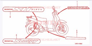 Adhesivo frontal Honda 87125-GBY-W30ZF